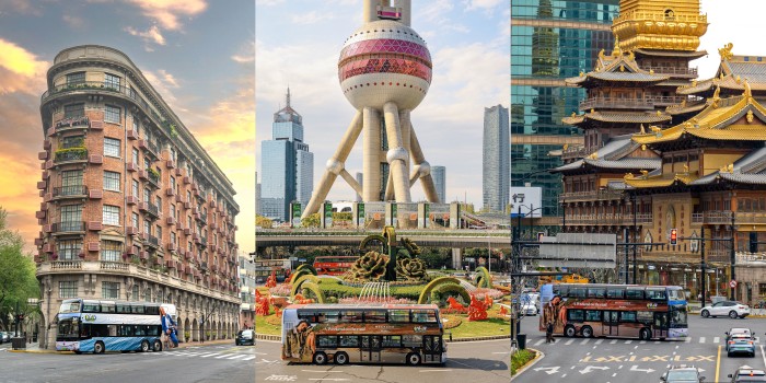 1776043872541645.jpg 02.jpg